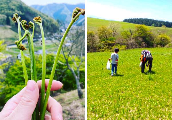 GWに行く!わらび狩りミステリーツアー1